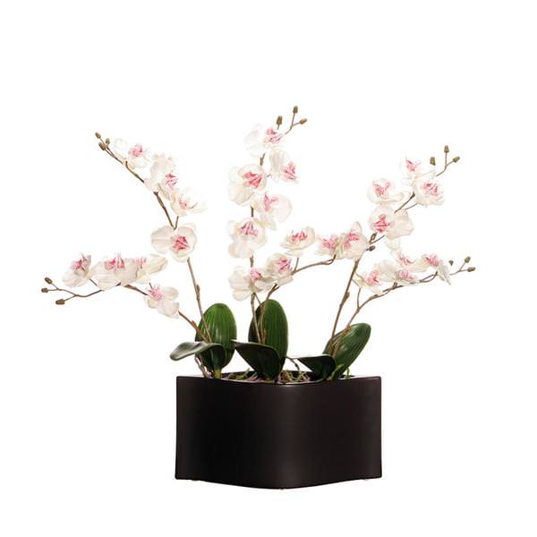 20" Artificial White Orchids in Decorative Black Container