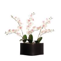 Vickerman 20" Artificial White Orchids in Decorative Black Container