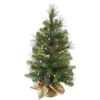 Vickerman 24" x 14" Artificial Mixed Pine 20 Clear Lights