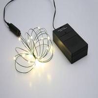 Vickerman 24 Light 8' Warm White Battery Operated Multi-Function Micro LED Miniature String with Timer
