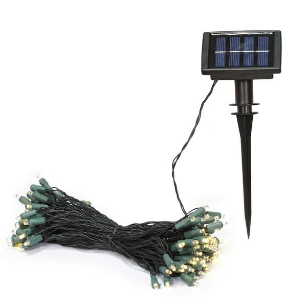 50 Light Green Wire Warm White Solar Powered LED String with 6-Hour Timer