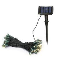 Vickerman 50 Light Green Wire Warm White Solar Powered LED String with 6-Hour Timer