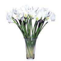 Vickerman 27" Artificial Three Dozen White Callas Glass Vase
