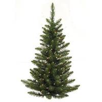 Vickerman 3' x 26" Artificial Camdon Fir Wall Tree 50 Warm White Italian LED Lights