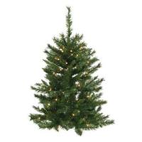 Vickerman 3' x 26" Artificial Imperial Pine Wall Tree with 50 Warm White LED Lights