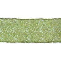 Vickerman 2.5" x 10yd Light Green Glitter Mesh Ribbon