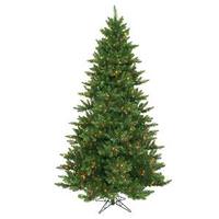 Vickerman 12' x 80" Artificial Camdon Fir 1,950 Multi-Color Italian LED Lights