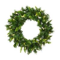 Vickerman 24" Artificial Imperial Pine 50 Warm White Italian LED Lights