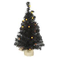 Vickerman 2' Black Pine 25 Orange G12 Berry LED Lights