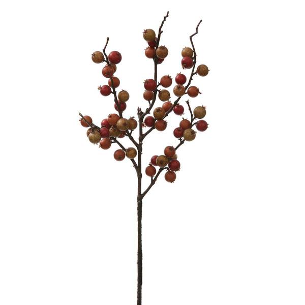 16" Orange Indoor / Outdoor Wild Berry Pick