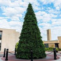 Vickerman 40' x 234" Artificial Grand Teton Tree 62,800 Warm White LED Lights