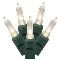 Vickerman 50 Light 25' Green Wire Warm White Italian LED Miniature String with 6" Spacing