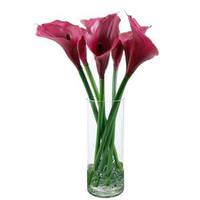 Vickerman 24" Artificial Purple Calla Lilies in Acryllic Water