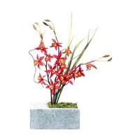 Vickerman 24" Artificial Tiger Orchid in Gray Trough