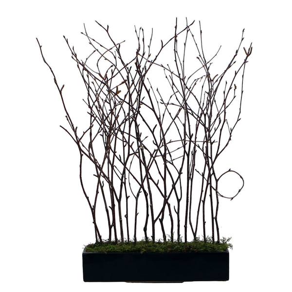 24" Black Rectangle with Artificial Natural Birch