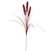 Vickerman 28" Red Glitter Wheat Spray