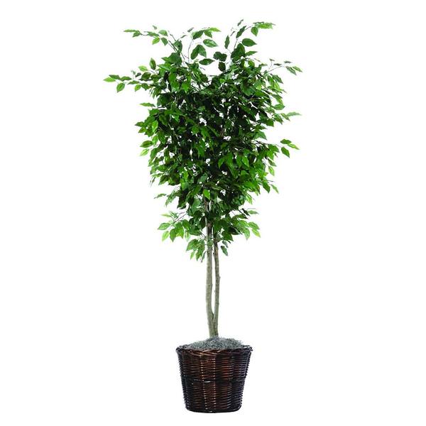 6.5' Artificial Ficus Deluxe Tree