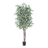 Vickerman 6' Artificial Variegated Ficus Tree