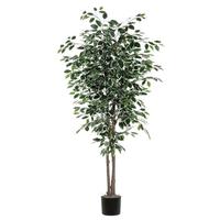 Vickerman 84" Variegated Artificial Deluxe Potted Ficus Tree