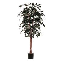Vickerman 84" Potted Deluxe Artificial Sakaki Tree