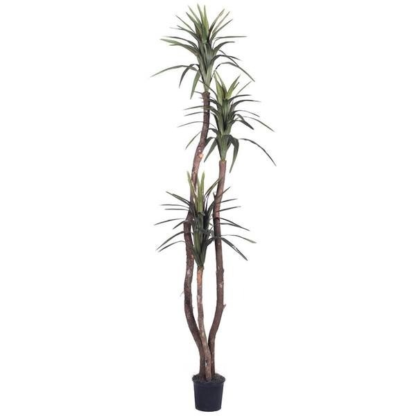 6.5' Artificial Marginata Deluxe Tree in a Black Plastic Pot
