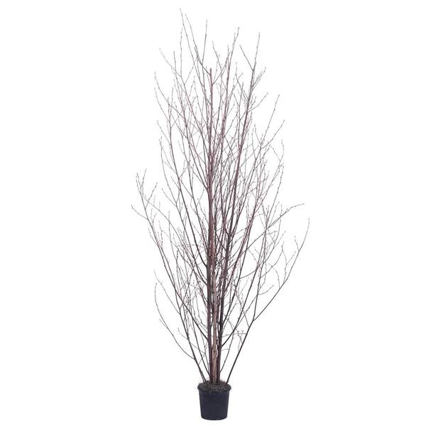 6' Artificial Winter Birch Deluxe