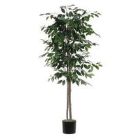 Vickerman 6' Artificial Ficus Tree