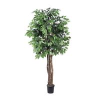 Vickerman 72" Potted Artificial Executive Ficus Tree