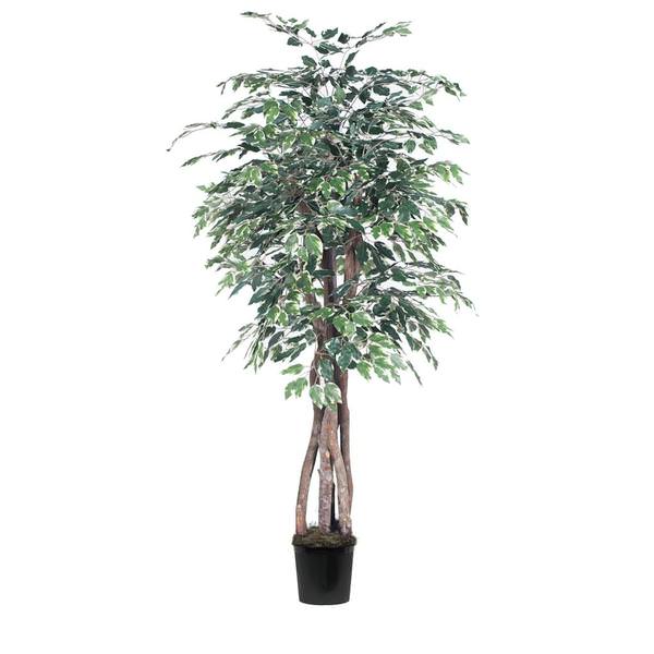 72" Potted Artificial Executive Variegated Ficus Tree
