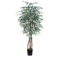 Vickerman 72" Potted Artificial Executive Variegated Ficus Tree