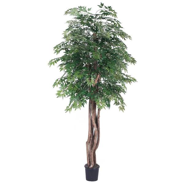 72" Potted Artificial Executive Ming Aralia Tree