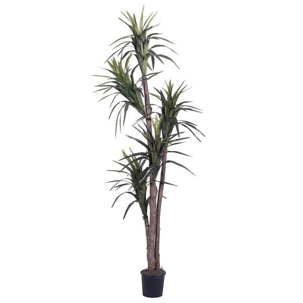 6.5' Artificial Marginata Executive Tree in a Black Plastic Pot