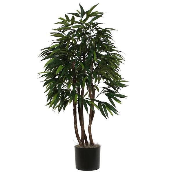 72" Mango Executive in Black Pot