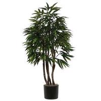 Vickerman 72" Mango Executive in Black Pot