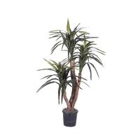 Vickerman 48" Artificial Potted Marginata Extra Full Bush