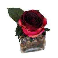 Vickerman 6" Artificial Red Rose Glass Square