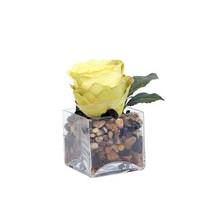 Vickerman 6" Artificial Yellow Rose Glass Square