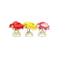 Vickerman 5" Artificial Ranunculus in Glass Cube Assortment (3 pack)