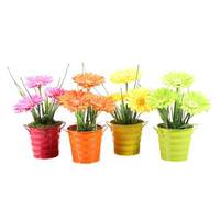 Vickerman 12" Artificial Gerbera Daisy in Metal Bucket Assortment (4 pack)