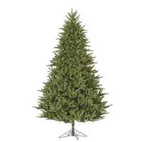 Vickerman 12' x 87" Artificial Berkshire Fir 2,150 Warm White Italian LED Lights