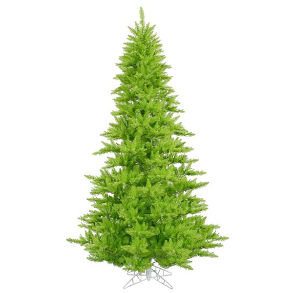4.5' x 34" Lime Fir