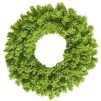 Vickerman 30" Artificial Flocked Lime Fir