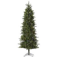 Vickerman 10' x 46" Artificial Carolina Pencil Spruce 550 Multi-Color Italian LED Lights