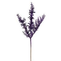 Vickerman 18" Purple Glitter Cedar Pine Spray