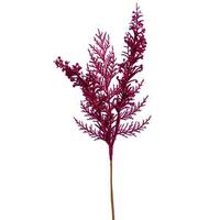 Vickerman 18" Cerise Glitter Cedar Pine Spray