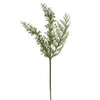 Vickerman 18" Artificial Light Green Glitter Cedar Pine Spray