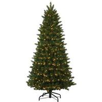 Vickerman 10.5' x 74" Artificial Oregon Fir 1,200 Clear Lights