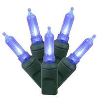Vickerman 50 Light 25' Green Wire Blue Italian LED Miniature String with 6" Spacing