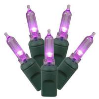 Vickerman 50 Light 25' Green Wire Purple Italian LED Miniature String with 6" Spacing