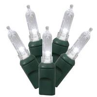 Vickerman 50 Light 25' Green Wire Pure White Italian LED Miniature String with 6' Spacing